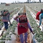 Jordan in vortex of regional escalation after militia attack on US