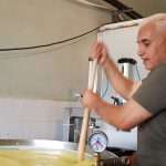 Algerian Businessman’s Savings Flourish in Cheese