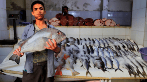 Morocco seeks new fisheries deal with EU