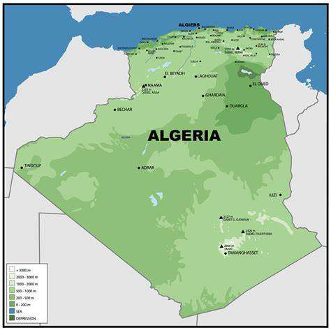 Algeria could take advantage of Niger crisis