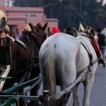 Life in Marrakech returning to normalcy following earthquake