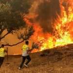 Wildfires break out in northeastern Algeria