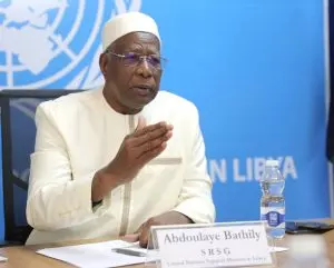 UN envoy to Libya despairs about elections status quo