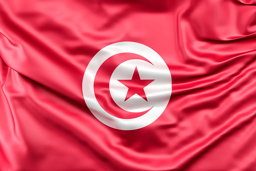 Tunisia: Carnegie report warns of impending debt crisis