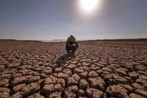 Morocco: drought devastates farmers’ livelihoods