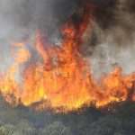 Bejaïa forest in Algeria burns again as wildfires break out