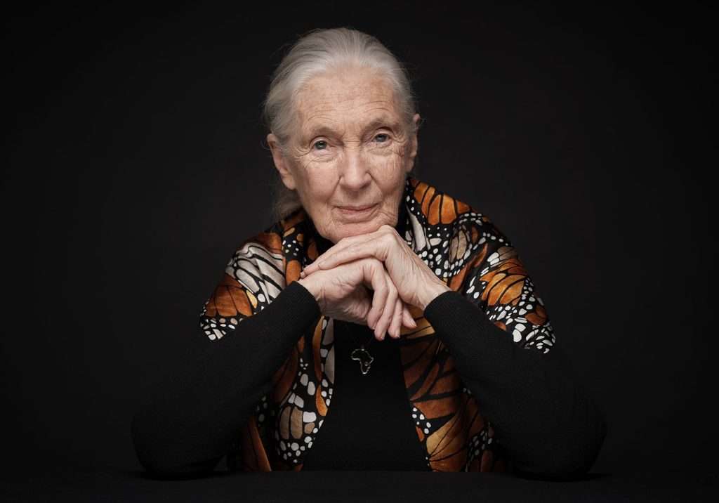 Morocco: Conservationist Jane Goodall slams stray dog slaughter