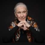 Morocco: Conservationist Jane Goodall slams stray dog slaughter