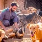 Morocco slammed for stray dog killing by conservationist