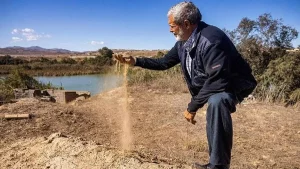 Fears grow in Morocco over crop collapse