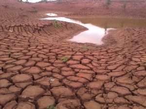 Morocco’s drought generates fears of crop failure