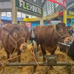 Morocco guest of honour at Paris agriculture show