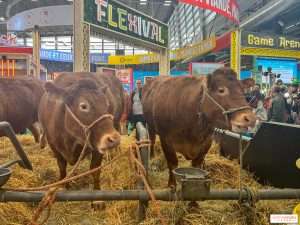 Morocco guest of honour at Paris agriculture show