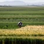 Morocco’s drought generates fears of crop failure