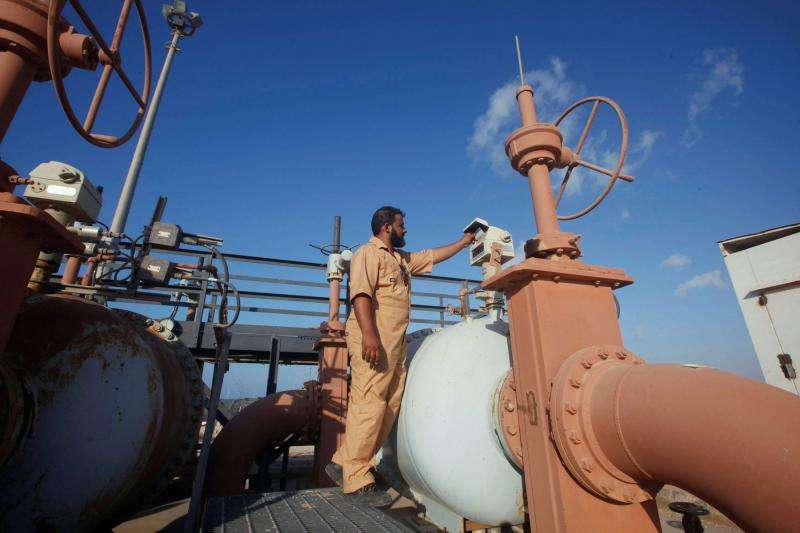 First Libyan private oil firm grows rapidly