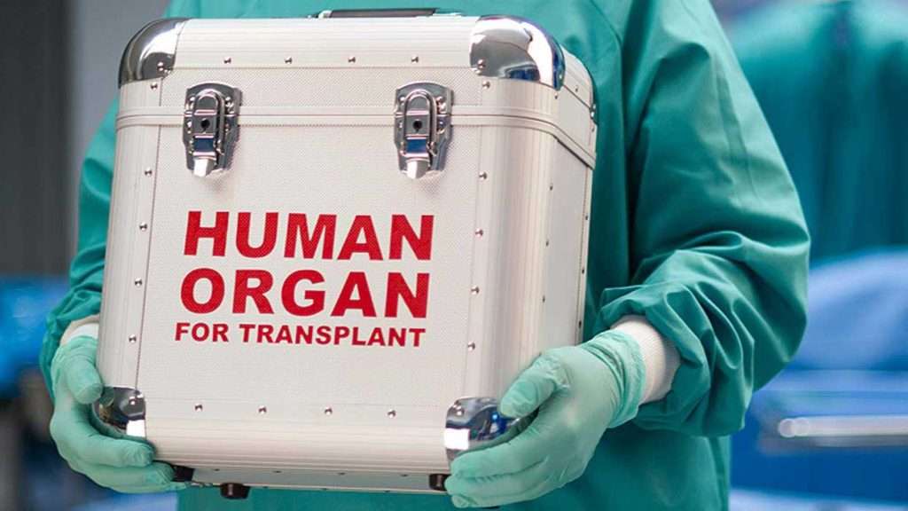 Nigeria sets guidelines for organ and tissue transplants