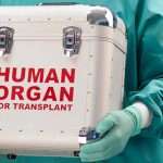 Nigeria sets guidelines for organ and tissue transplants