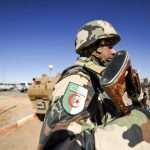 Algeria: major drugs operation sees huge cannabis confiscation