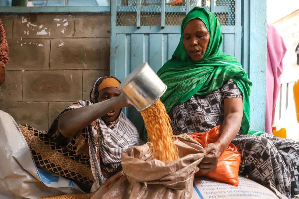 WFP suspends aid to Zamzam refugee camp in Sudan