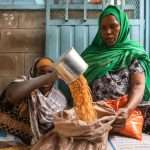 WFP suspends aid to Zamzam refugee camp in Sudan