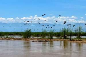 M23 rebels encroach on eastern DR Congo forcing people to flee