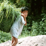 Morocco will host 2025 Global Conference on Child Labor