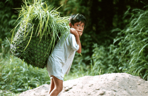 Morocco will host 2025 Global Conference on Child Labor