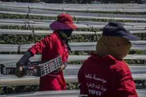 UN: Moroccan women struggle to access and stay in workforce