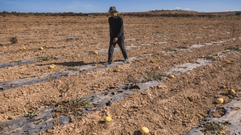 Rainfall boosts Morocco’s dam fill rate to 49.44%