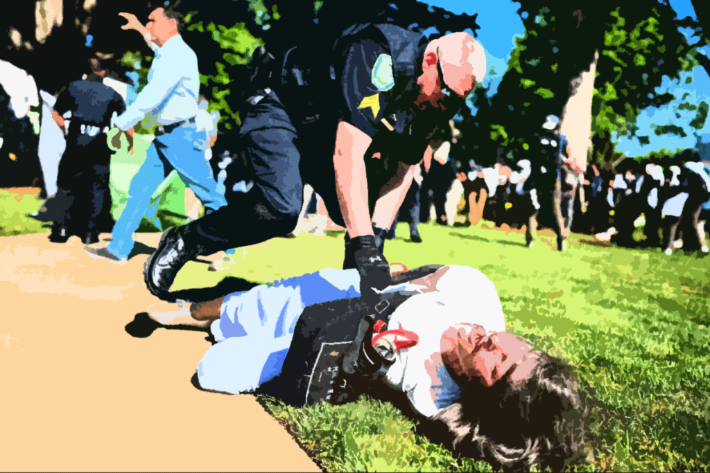 US protest crackdown signals a wider threat to Western activism US protest crackdown signals a wider threat to Western activism