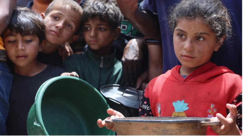 Less than 5% of ceasefire aid reaches Gaza Less than 5% of ceasefire aid reaches Gaza