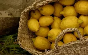 Morocco’s lemon trade makes a comeback