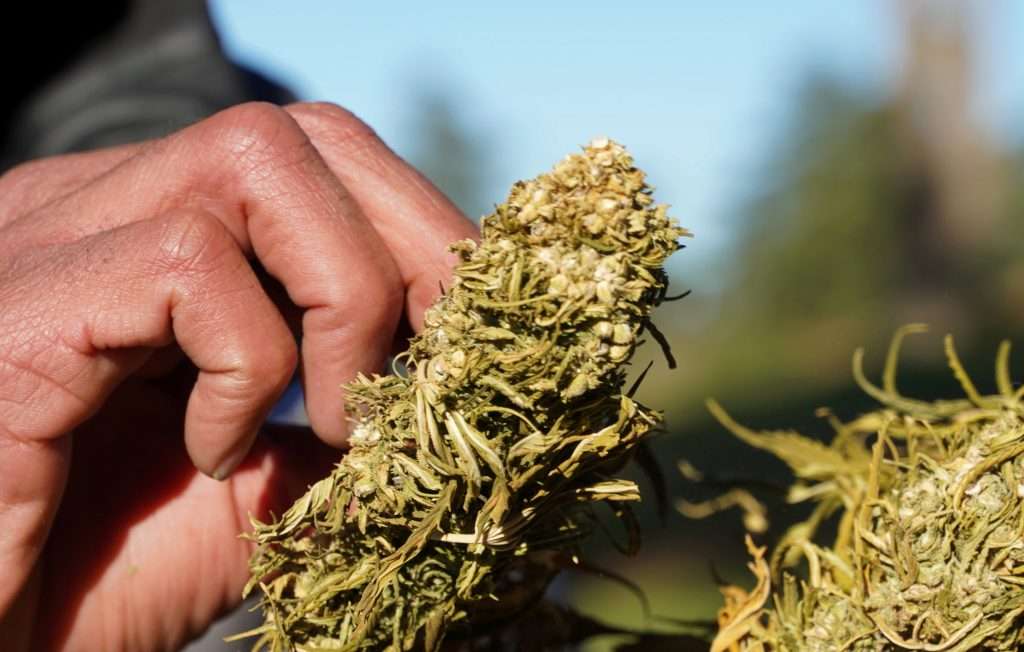 Moroccan police bust drug trafficking ring Moroccan police bust drug trafficking ring