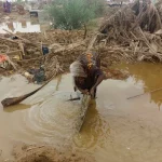 Cholera surges in Sudan amid war, water shortage and power cuts