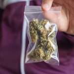 Spanish police bust Morocco-linked cannabis trafficking network