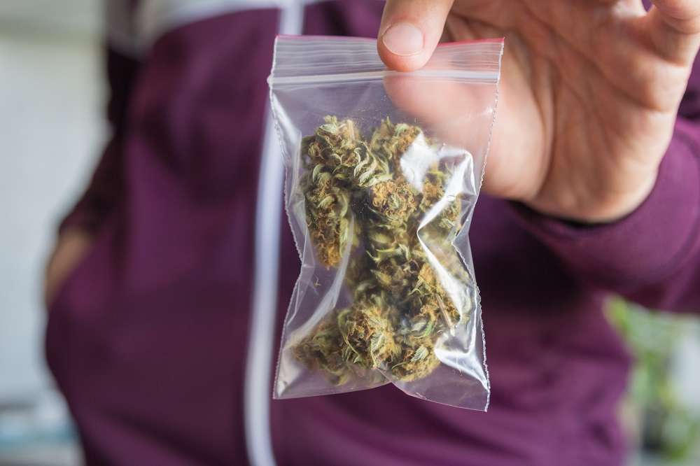 Spanish police bust Morocco-linked cannabis trafficking network