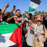 Over 200 pro-Palestinian activists detained in Egypt