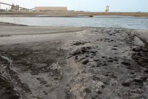 Tunisia’s economic plan fuels pollution despite public health concerns