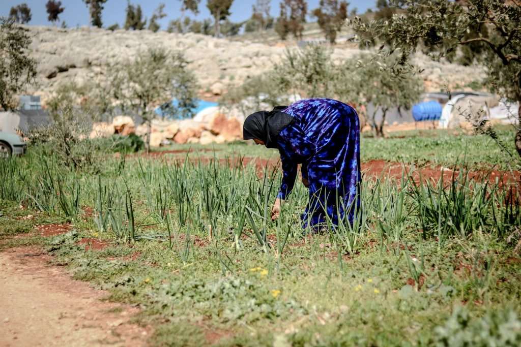 Climate change disproportionately impacts women in the MENA region Climate change disproportionately impacts women in the MENA region