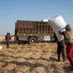 Syria: 16.3 million at risk of food insecurity in 2025
