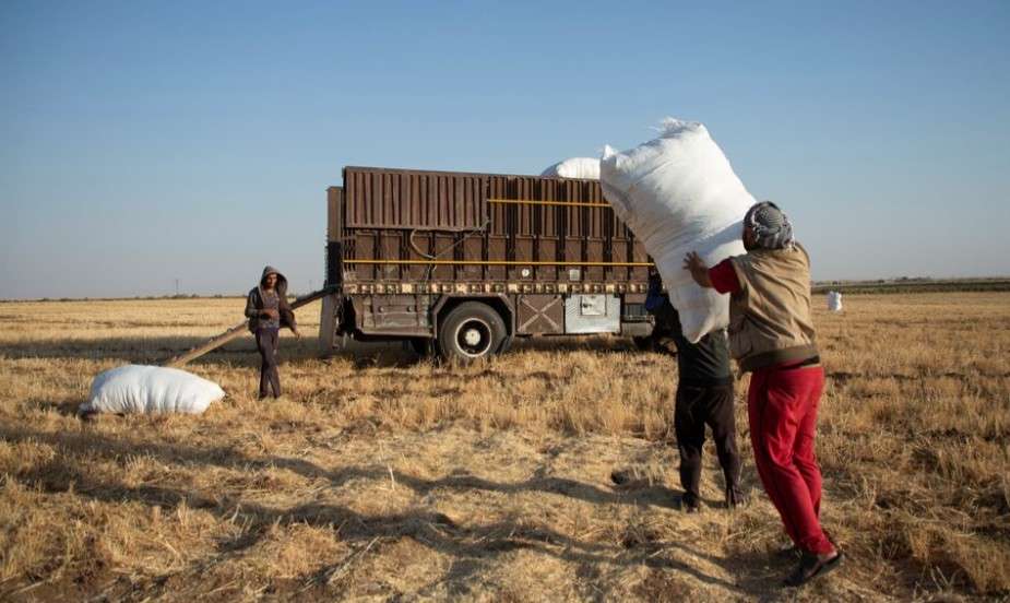 Syria: 16.3 million at risk of food insecurity in 2025 Syria: 16.3 million at risk of food insecurity in 2025
