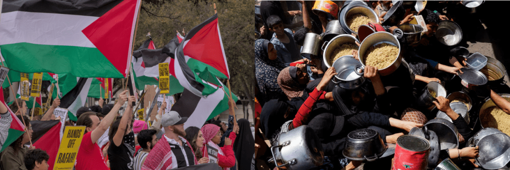 Appeal for Egypt to open its borders for Gaza activists Appeal for Egypt to open its borders for Gaza activists
