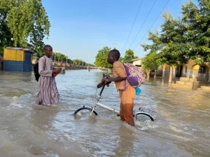 Death toll rises in Nigeria as government fails to contain floods