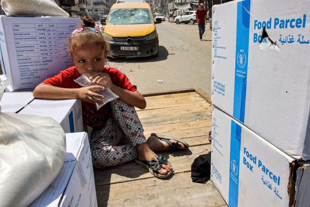 Almost 800 killed near aid sites in Gaza, UN says Almost 800 killed near aid sites in Gaza, UN says