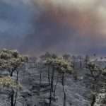Syria: Relentless wildfires raze forest and farmland