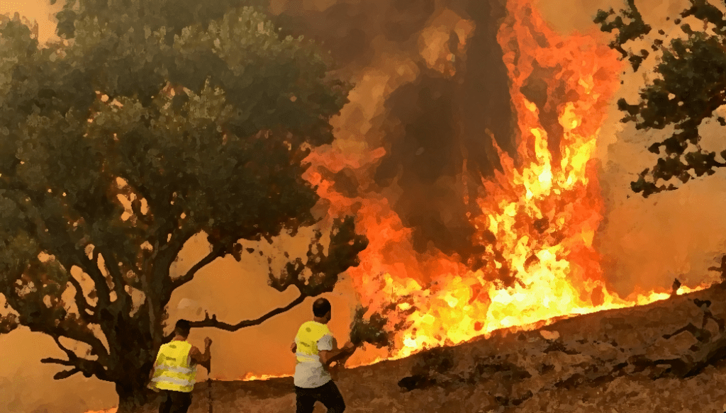 Libya: authorities ignore wildfires spreading across southwest