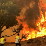 Libya: authorities ignore wildfires spreading across southwest