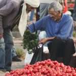 Tunisia juggles high obesity rates and food insecurity