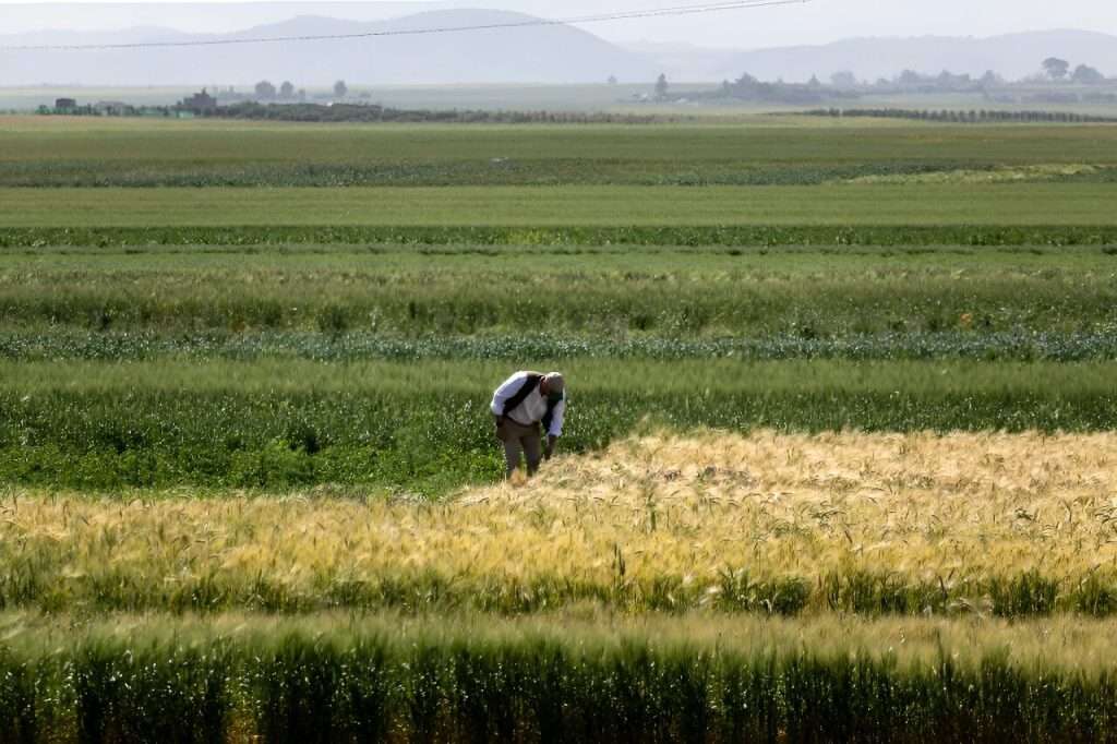 Morocco secures 0 million boost for agriculture Morocco secures 0 million boost for agriculture