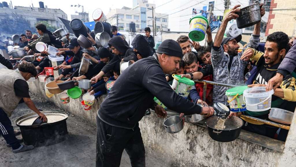 Former EU ambassadors call for action as Gaza crisis deepens